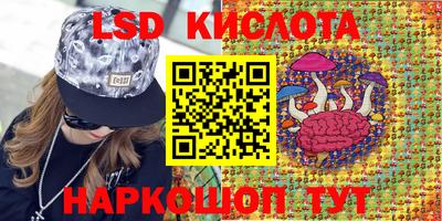 стафф Донецк