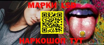стафф Донецк