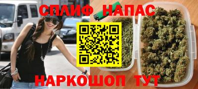 стафф Донецк