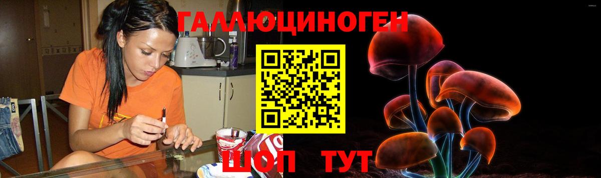Псилоцибиновые грибы GOLDEN TEACHER Новочебоксарск